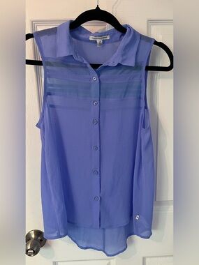 American Eagle Outfitters Blue Sheer Button-Front Sleeveless Blouse